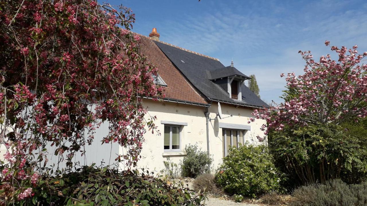 Gite La Fortaiserie Rille Exterior photo